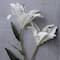 37" White Lily Stem by Ashland®